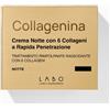 LABO INTERNATIONAL SRL Labo Collagenina crema viso notte 6 collageni - Azione rassodante e e rimpolpante - grado 2 - Vaso 50 ml