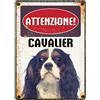 Plenty Gifts Insegna di metallo cavalier