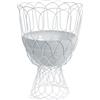 Emu vaso alto re-trouvé