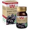 GDP GENERAL DIETETICS PHARMA SRL Winter integratore alimentare a base di ribes nero 40 capsule vegetali