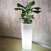 Veca Cache-Pot Luminoso Clou Rotondo h 85 in plastica