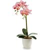 Orchidea Finta Bianca in Vaso, Orchidea Artificiale da Interno, 15.9”/ 40CM  Decorativo Vero Tocco Bonsai Tavolo da Pranzo centrotavola Ornamento da  Bagno : : Casa e cucina