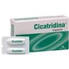 Farma-Derma CICATRIDINA SUPPOSTE 10 PEZZI
