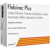 Alfasigma FLEBINEC PLUS 14 BUSTINE 4 G