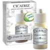 DR.GIORGINI SER-VIS SRL Cicatriz Polvere Cutanea Riparatrice 10 g