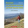 Editrice CO.EL. Escursioni sui primi rilievi panoramici del Friuli Venezia Giulia. 50 itinerari per tutti dal Carso al Cansiglio