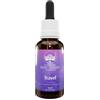 GREEN REMEDIES Australian Bush Flower Essences Travel Rimedio Omeopatico 30ml