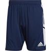 adidas Uomo Shorts (1/4) Con22 TR SHO, Team Navy Blue 2/White, HA6284, MT