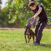 Ferplast Puller Standard per addestramento del cane