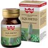GDP GENERAL DIETETICS PHARMA SRL Winter integratore alimentare a base di equiseto 30b capsule vegetali