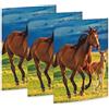 RNKVERLAG 45353-3 - Cartella per disegni Free Horses 310 x 440 mm, 3 pezzi, DIN A3, con elastico di chiusura