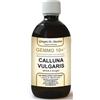 GIORGINI Gemmo 10+ Erica O Brugo 500 Ml Liquido Analcolico