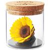 Amoroses Sunflo - Girasole Stabilizzato Fiore Eterno in Barattolo di Vetro | Idea Regalo