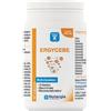 Ergycebe 90 Capsule 43 g