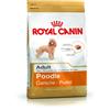 Royal canin poodle adult 500 gr