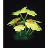 Aqua Lumo Aqua Lumo - Pianta stellata in silicone, colore: giallo fluorescente