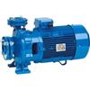 Speroni CS 40 Trifase - Elettropompa Monoblocco Centrifuga - CS 40-200 A - 7,5 kW - 10 HP