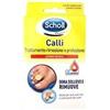 GIURIATI GROUP Srl SCHOLL CER CALLIF TRATT R/PROT