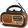 Fantocemea Radio Portatile Vintage FM/AM(MW)/SW, Radiolina Portatile con Bluetooth,Radio Portatile Ricaricabile da 1200 mAh,Supporta TF Card/USB MP3 Player