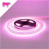 Striscia LED Professional per Banco Carni
