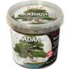 AKADAMA SUBSTRATO GIAPPONESE PER BONSAI 2,5L - ALTEA