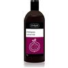 Ziaja Family Shampoo 500 ml