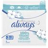 Always Cotton Protection Night 8 pz