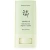 Beauty of Joseon Matte Sun Stick Mugwort + Camelia 18 g