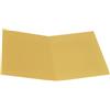 Alevar Cartellina Semplice in Cartoncino Pannosa 145 gr, Formato 25x34 cm, Colore Giallo, Confezione da 100 Pezzi