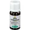 SANGALLI Srl Melaleuca Olio Essenziale Sangalli 10ml