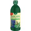 Nutracle Vitalight Drenante Slim 500ml. Integratore Brucia Grassi Dimagrante  Forte, Depurativo E Anticellulite A Base Di Caffeina, Te Verde, Guarana, Caffè  Verde E Finocchio - Per Uomo E Donna 