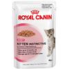 Royal Canin Cat BUSTA Kitten Instinct Gr