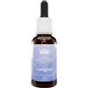 CAREGIVER 30 ML