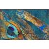 Wash+Dry tappeto Exotic Pavo 75x120cm, adatto per interni ed esterni, lavabile