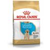 Amicafarmacia Royal Canin Corcchette Per Cani Labrador Retriever Cuccioli Sacco 12 Kg