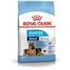 Amicafarmacia Royal Canin Starter Mother&Babydog Crocchette Per Cagne E Cuccioli Taglia Grande Sacco 4kg