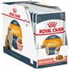 Royal Canin Feline Intense Beauty Gravy Umido Per Gatti Adulti Bustine 12x85g