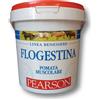 FLOGESTINA GEL ANTIDOLORIFICO PEARSON KG. 1,5 SAT20205