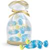 LEONE Leonsnella Eucalipto caramelle da 500gr