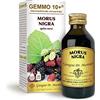 Dr Giorgini Integratore Alimentare, Gelso Gemmoderivato Concentrato Liquido Analcoolico - 100 ml
