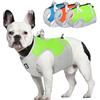 LiebeDD Gilet Rinfrescante per Cani Traspirante Pettorina Cappotto Refrigerante Cane di Taglia Media, Regolabile Vestiti Riflettente per Cani Passeggiate Estive o Addestramento, Verde, M