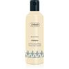 Ziaja Silk 300 ml