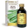 Dr Giorgini Integratore Alimentare, Segale Gemmoderivato Concentrato Liquido Analcoolico - 100 ml