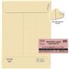 Pigna Envelopes Busta a sacco Multi Strip Large - soffietti laterali - strip adesivo - 23 x 33 x 4 cm - 100 gr - carta riciclata FSC - avana - Pigna Envelopes - conf. 250 pezzi (unità vendita 1 pz.)