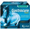 Candioli Horse Selection Candioli Gastrocure pasta 24 siringhe da 50g integratore gastroprotettore per cavalli