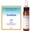 FORZA VITALE ITALIA Srl Gentian Fiori Mediterranei 10ml