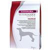 Eukanuba Veterinary Diets Intestinal cane - Cibo per cani con disturbi del tratto gastrointestinale - 5 Kg