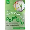 Un meraviglioso poliedro. Teenager 11/17