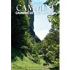 Il cammino di Sant'Antonio. Ediz. illustrata