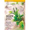 Morte, maestra di vita